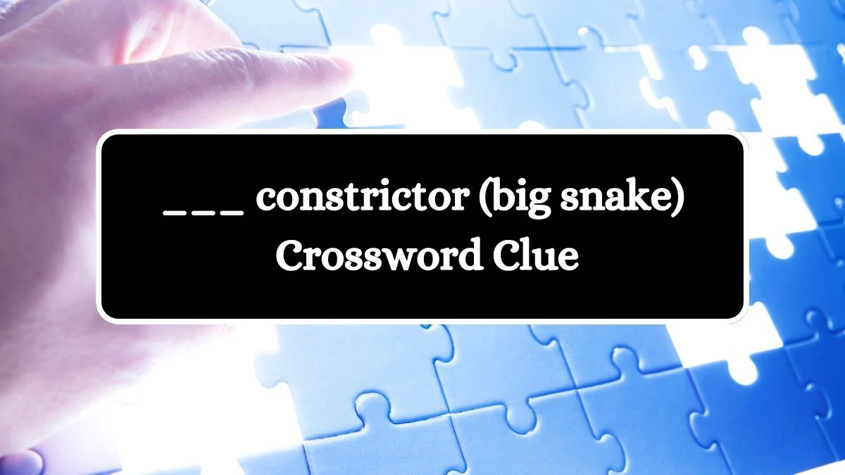 ___ constrictor (big snake) Daily Themed Crossword Clue Puzzle Answer from August 12, 2024