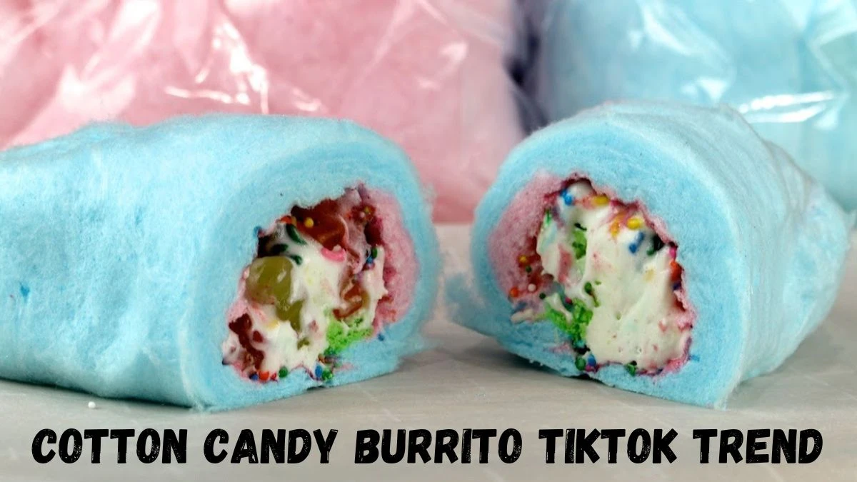 Cotton Candy Burrito Tiktok Trend, The Sweet Sensation Everyone's Talking About