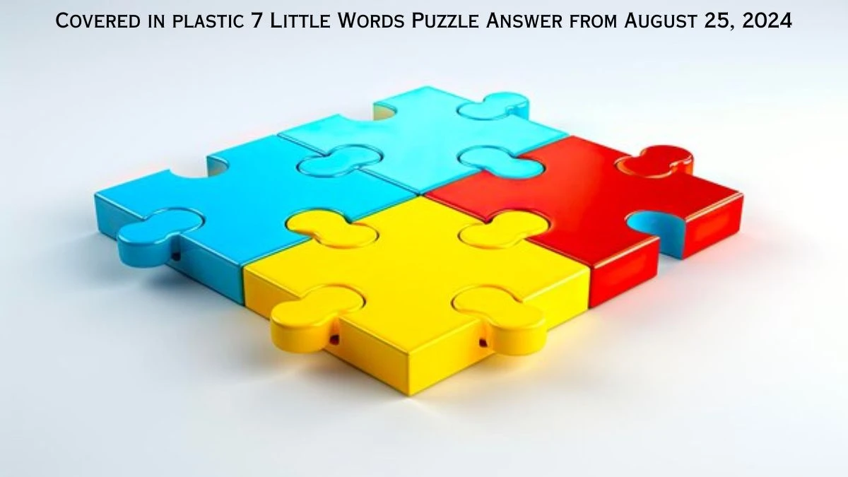 Covered in plastic 7 Little Words Puzzle Answer from August 25, 2024