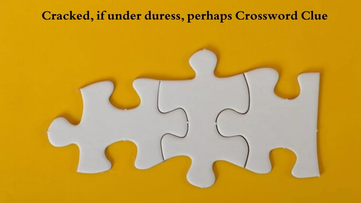 Cracked, if under duress, perhaps Crossword Clue Puzzle Answer from August 04, 2024