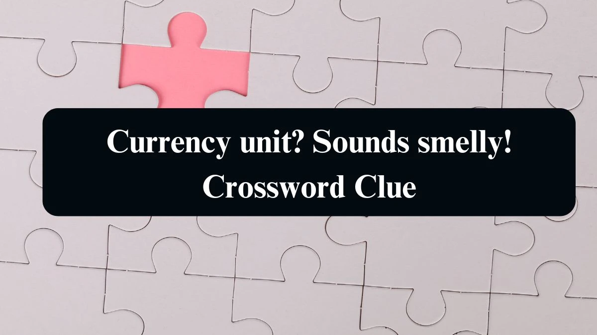 Currency unit? Sounds smelly! Crossword Clue Puzzle Answer from August 14, 2024