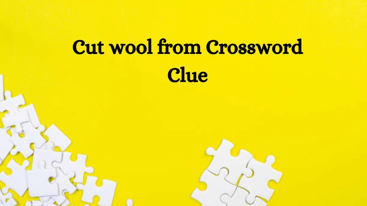 Cut wool from Daily Commuter Crossword Clue Puzzle Answer from August 22, 2024