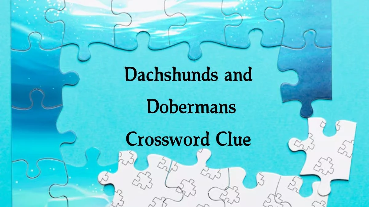 Dachshunds and Dobermans Daily Commuter Crossword Clue Answers on August 21, 2024