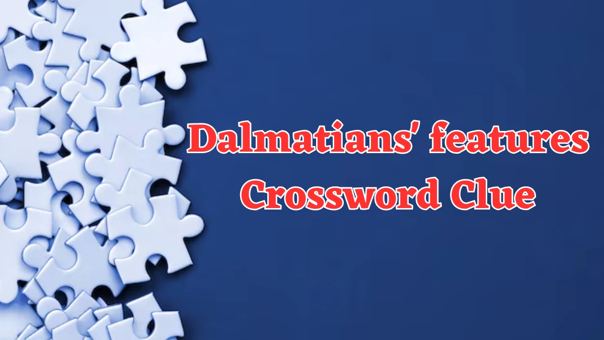 Universal Dalmatians' features Crossword Clue Puzzle Answer from August 03, 2024