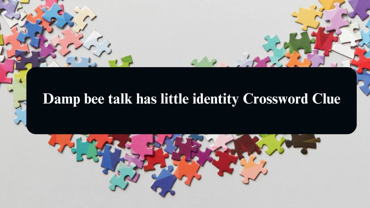 Damp bee talk has little identity Crossword Clue Answers on August 17, 2024