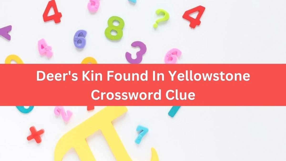 Deer's Kin Found In Yellowstone Daily Themed Crossword Clue Puzzle Answer from August 04, 2024