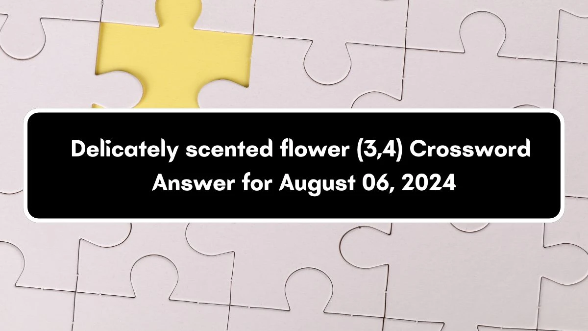 Delicately scented flower (3,4) Crossword Clue Puzzle Answer from August 06, 2024