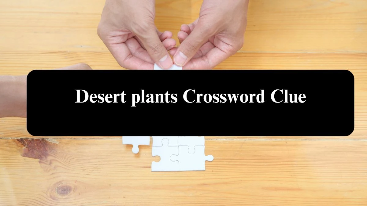 Desert plants Crossword Clue Puzzle Answer from August 05, 2024