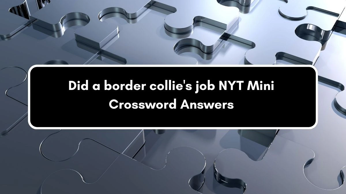 Did a border collie's job NYT Crossword Clue