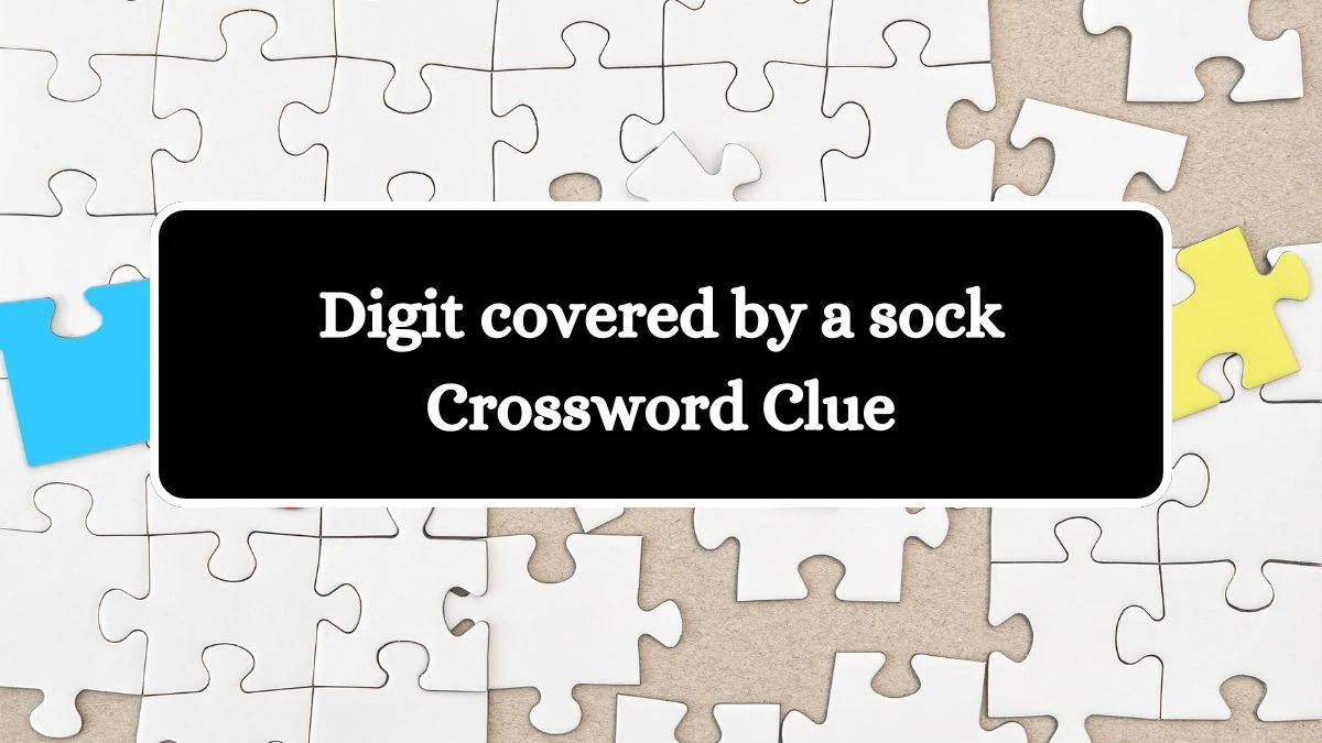 LA Times Digit covered by a sock Crossword Clue Answers with 3 Letters from August 12, 2024