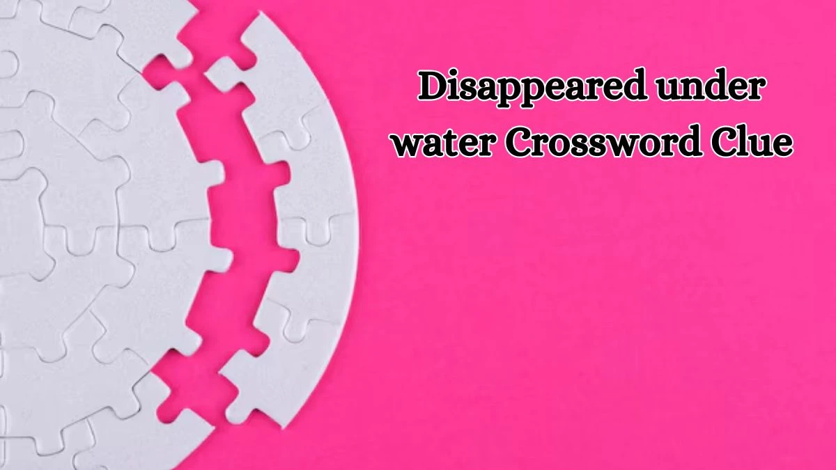 Disappeared under water Puzzle Page Crossword Clue Puzzle Answer from August 17, 2024