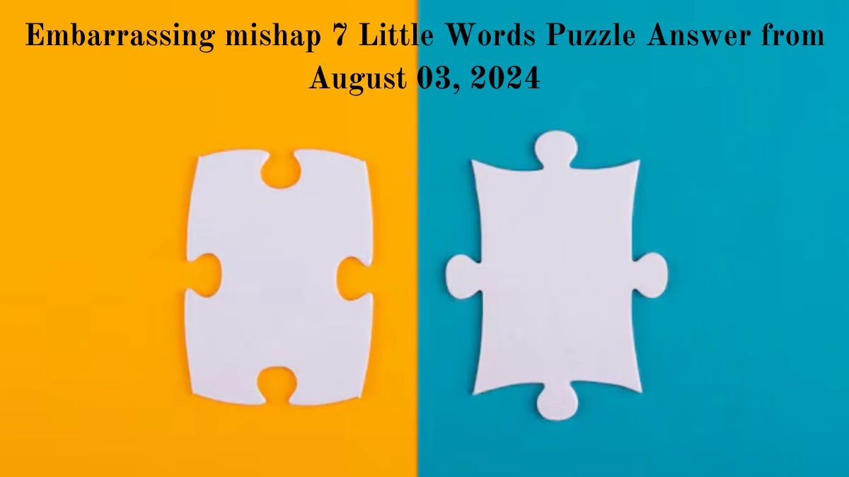 Dishwasher brand 7 Little Words Puzzle Answer from August 03, 2024