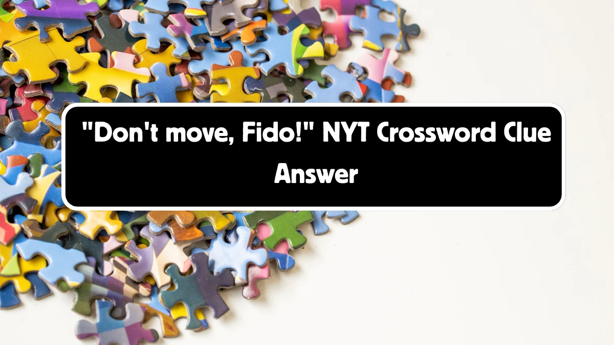 Don't move, Fido! NYT Crossword Clue Puzzle Answer from August 11, 2024