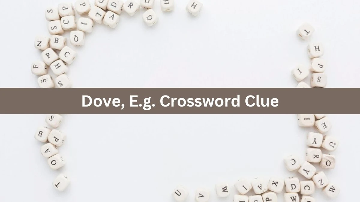 Dove, E.g. NYT Crossword Clue Puzzle Answer from August 30, 2024