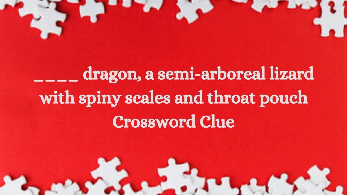 ____ dragon, a semi-arboreal lizard with spiny scales and throat pouch Crossword Clue Answers on August 13, 2024