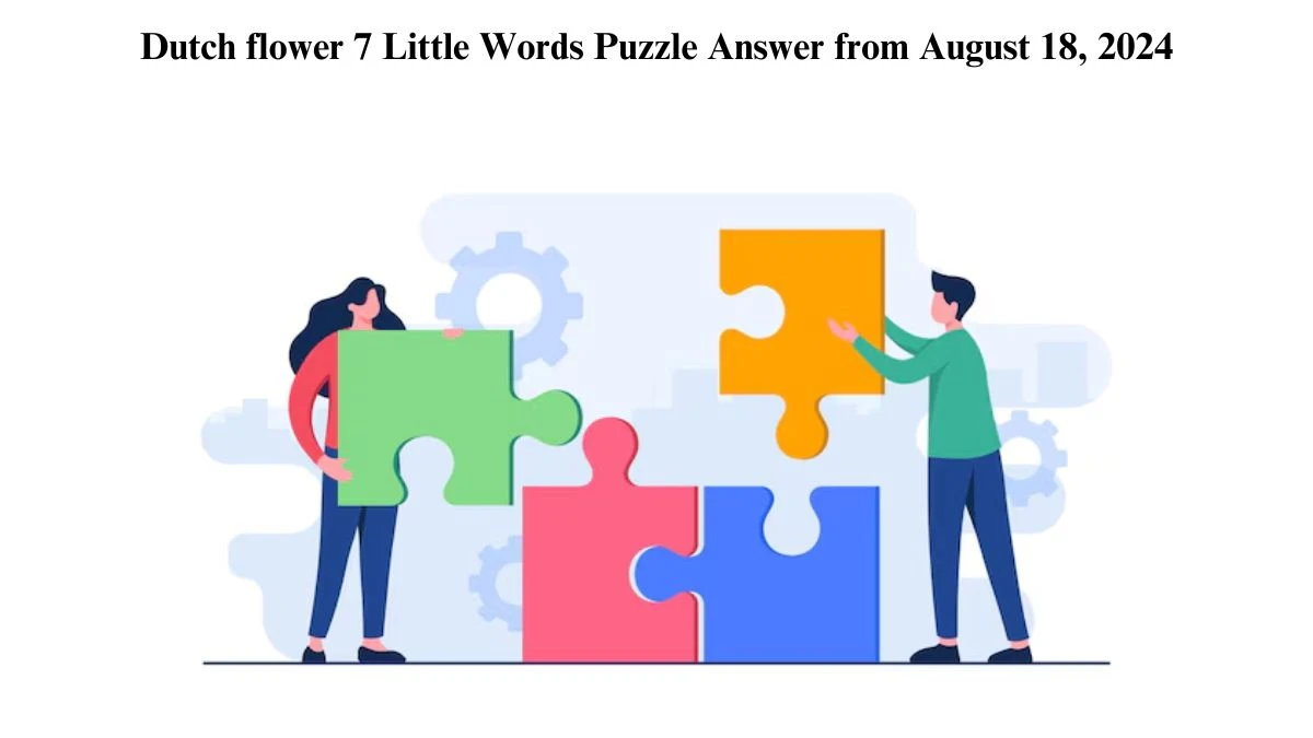 Dutch flower 7 Little Words Puzzle Answer from August 18, 2024