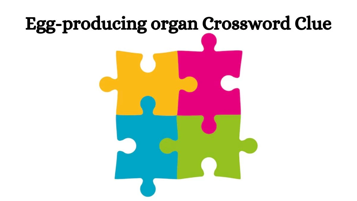 Egg-producing organ Daily Commuter Crossword Clue Puzzle Answer from August 02, 2024