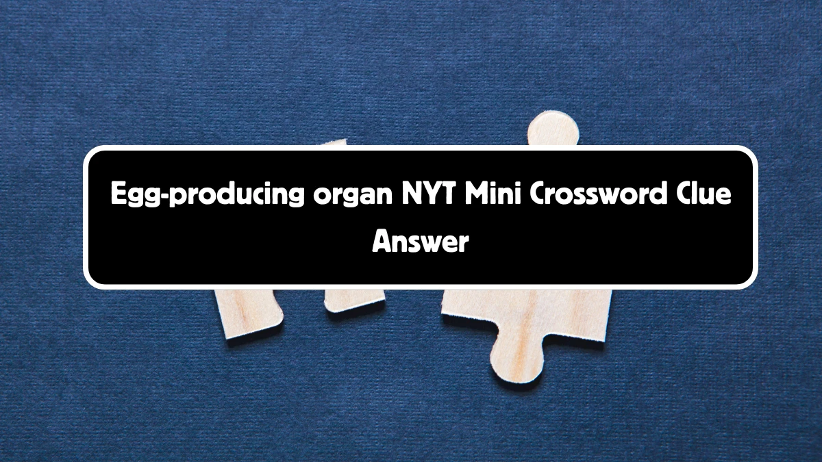 Egg-producing organ NYT Crossword Clue Puzzle Answer from August 30, 2024