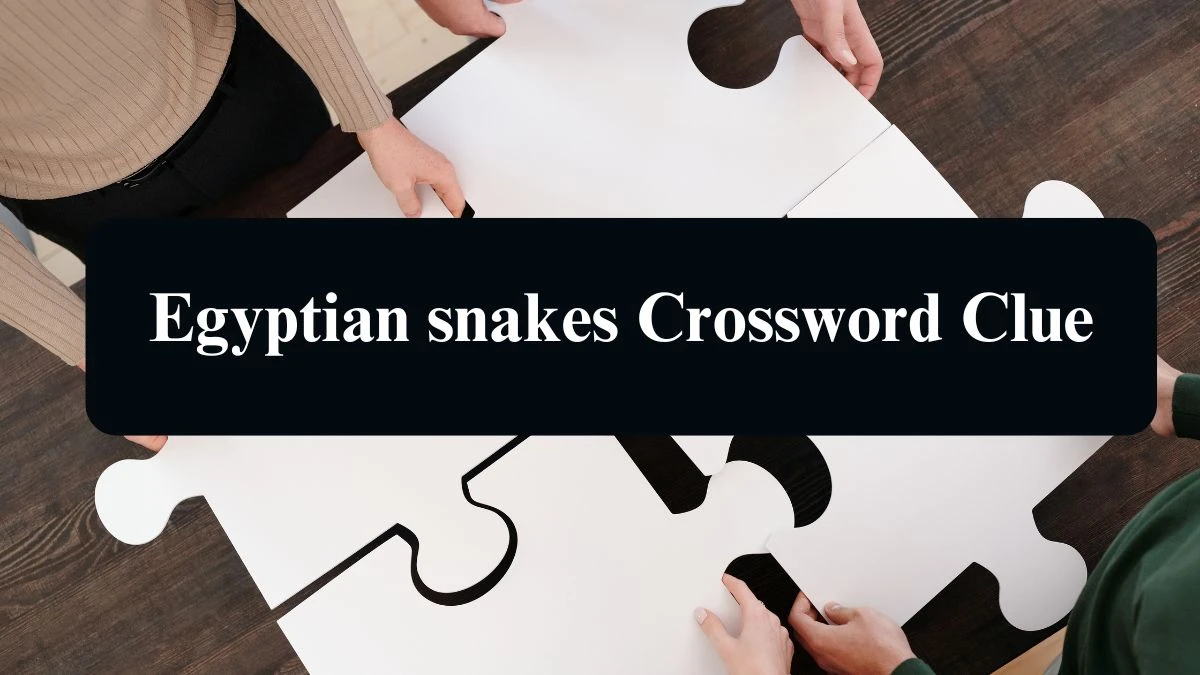 Egyptian snakes Daily Commuter Crossword Clue Answers on August 10, 2024