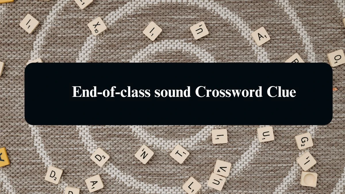 Daily Commuter End-of-class sound Crossword Clue 4 Letters Puzzle Answer from August 17, 2024