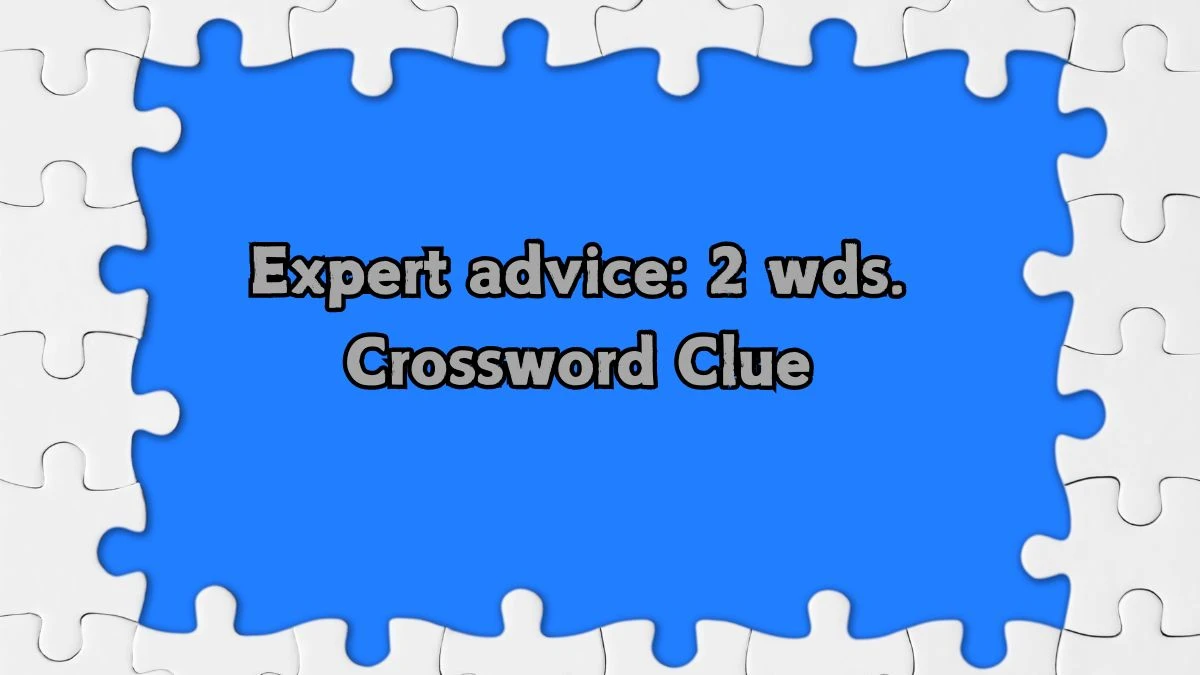 Expert advice: 2 wds. Daily Commuter Crossword Clue Puzzle Answer from August 22, 2024