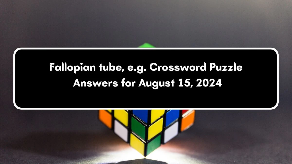 Fallopian tube, e.g. NYT Crossword Clue Puzzle Answer from August 15, 2024