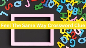 Feel The Same Way Daily Commuter Crossword Clue Puzzle Answer from October 16, 2024