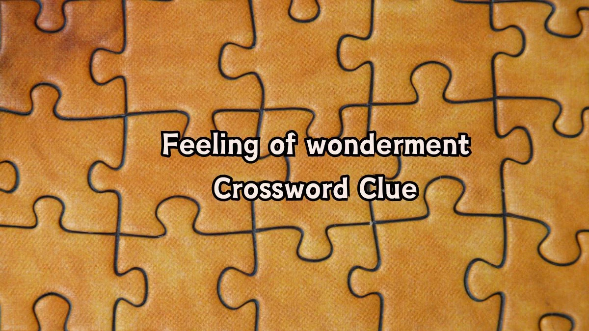 Feeling of wonderment Daily Themed Crossword Clue Puzzle Answer from August 06, 2024