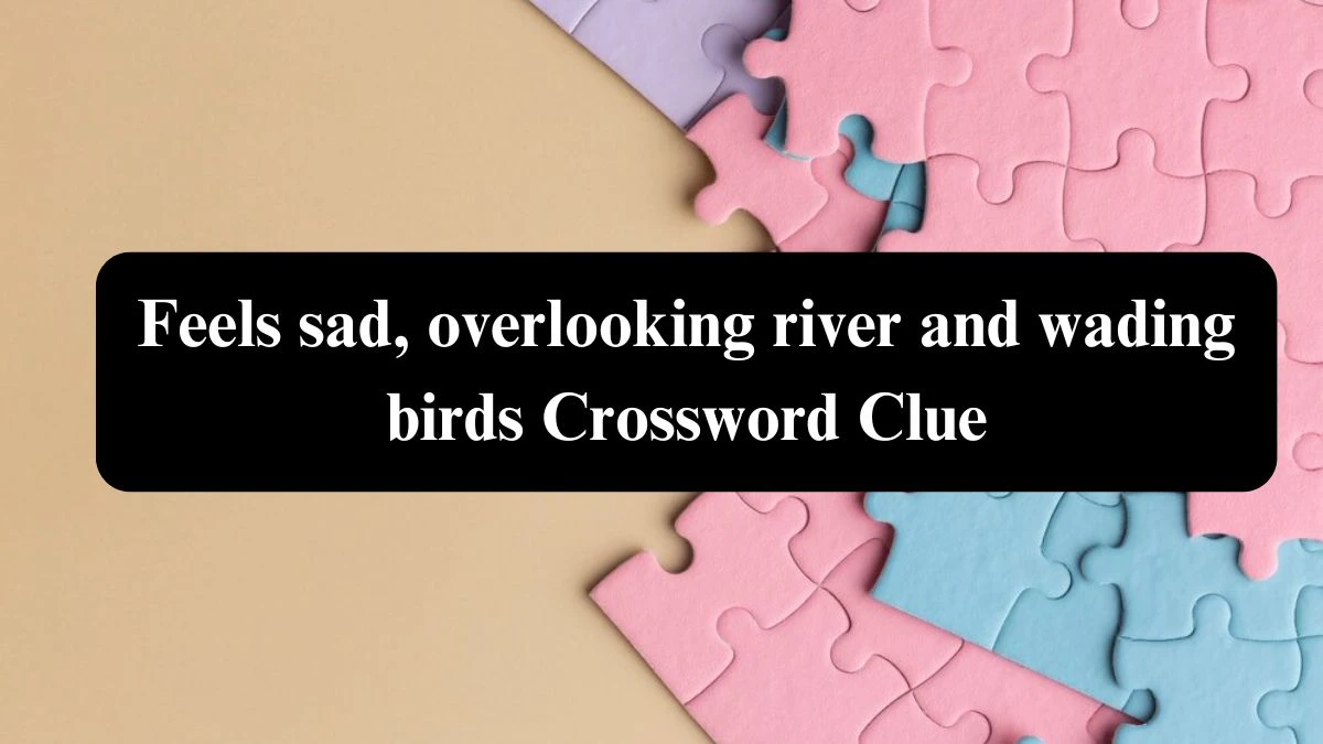 Feels sad, overlooking river and wading birds Crossword Clue Puzzle Answer from August 02, 2024