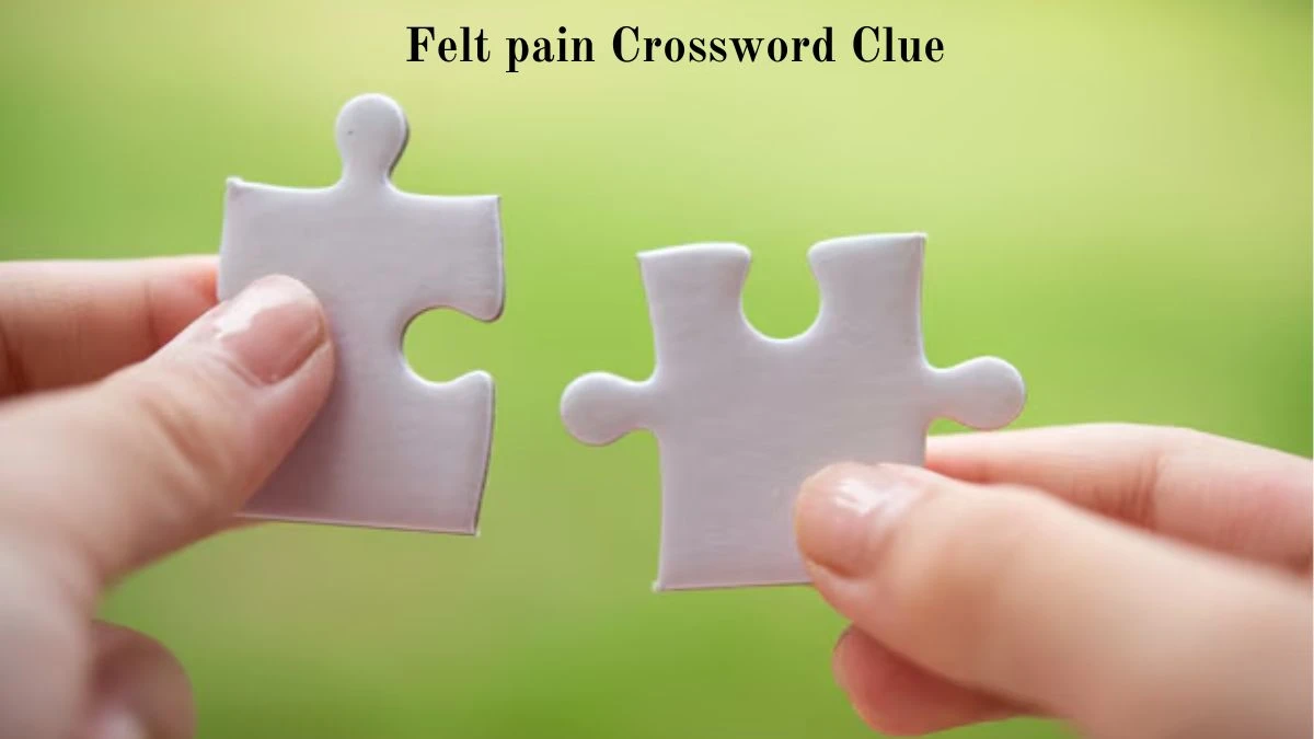 USA Today Felt pain Crossword Clue Puzzle Answer from August 05, 2024