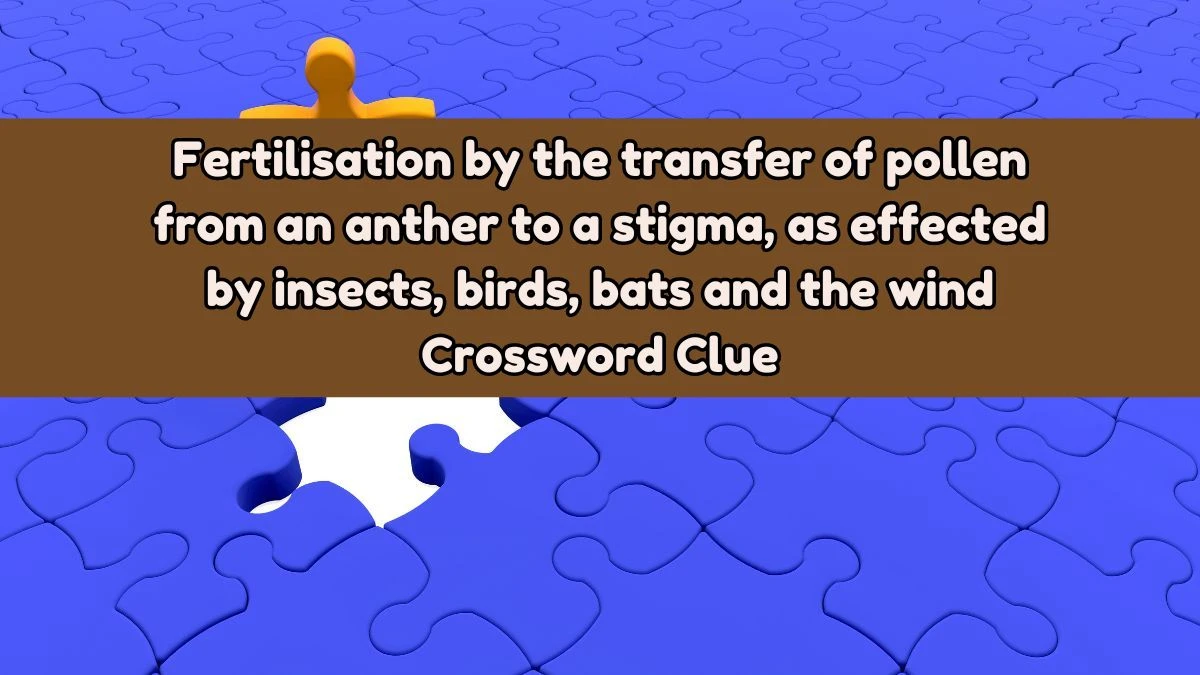 Fertilisation by the transfer of pollen from an anther to a stigma, as effected by insects, birds, bats and the wind Crossword Clue Puzzle Answer from August 03, 2024