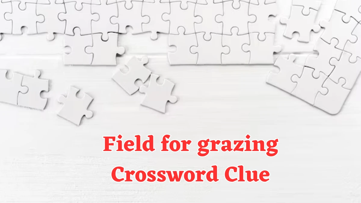 Field for grazing NYT Crossword Clue Puzzle Answer from August 07, 2024