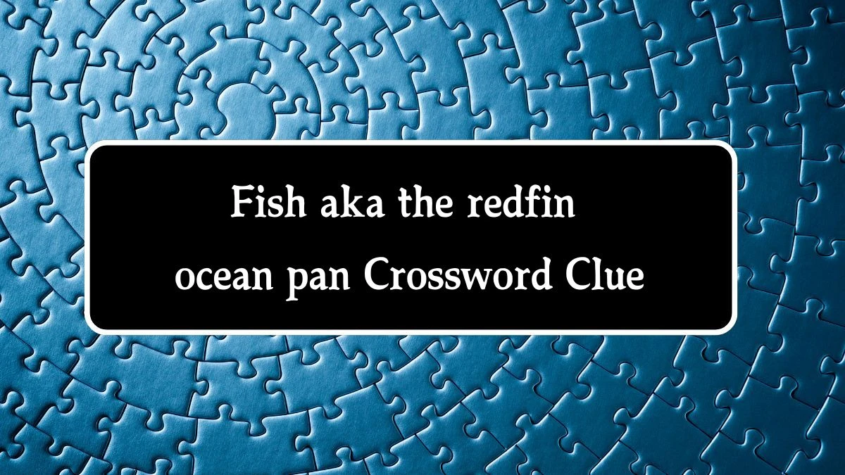 USA Today Fish aka the redfin ocean pan Crossword Clue Puzzle Answer from August 07, 2024