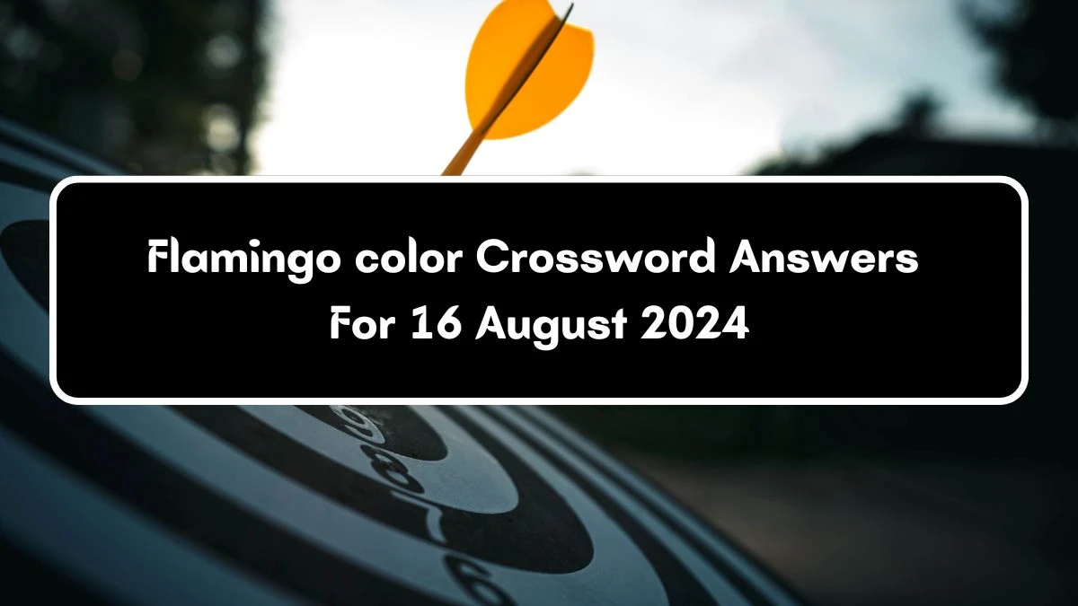 Flamingo color Daily Themed Crossword Clue 4 letters Puzzle Answer from August 16, 2024