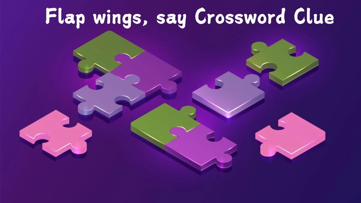 Flap wings, say Daily Themed Crossword Clue Puzzle Answer from August 13, 2024