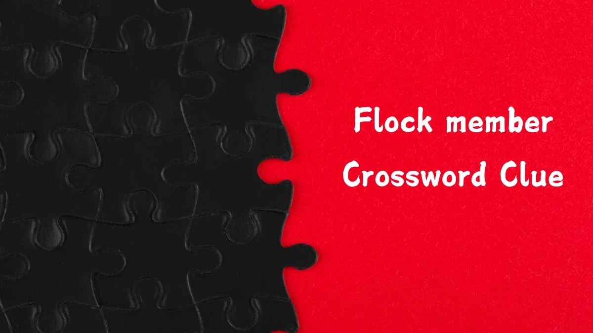 Flock member NYT Crossword Clue Puzzle Answer from August 29, 2024