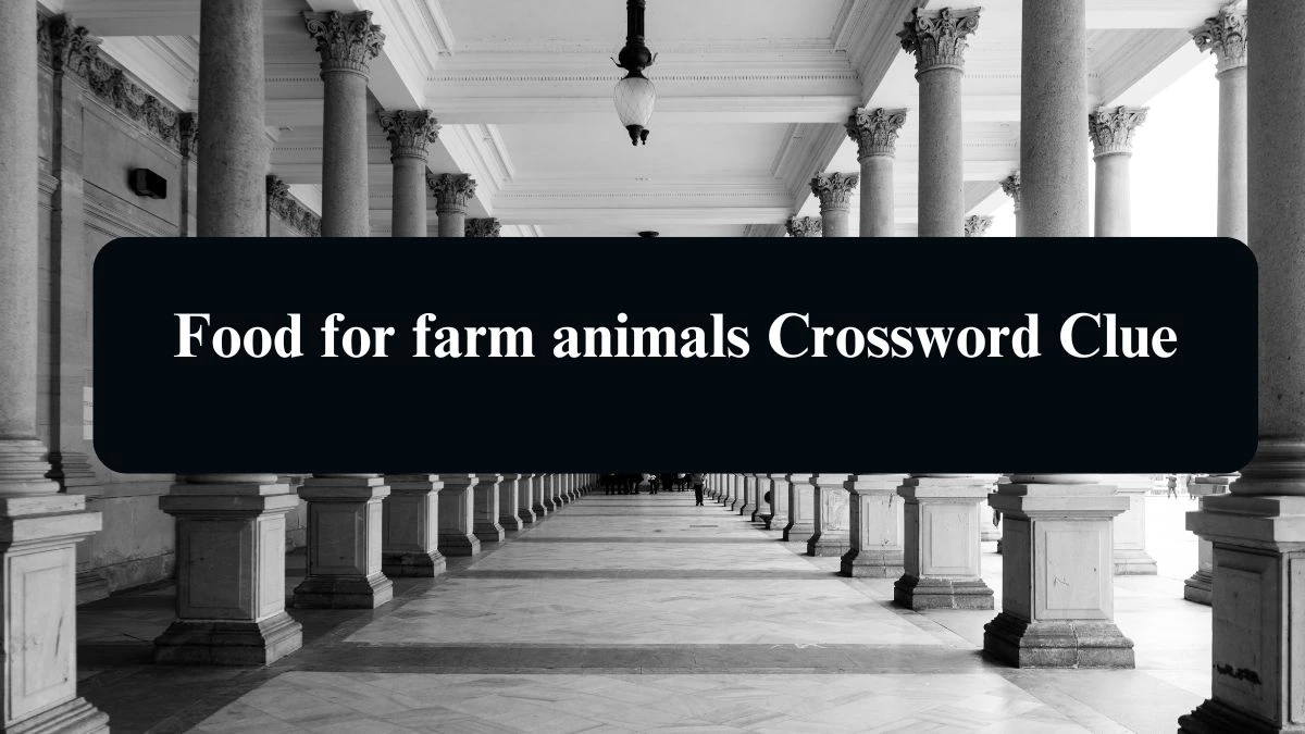 Food for farm animals NYT Crossword Clue Puzzle Answer from August 13, 2024