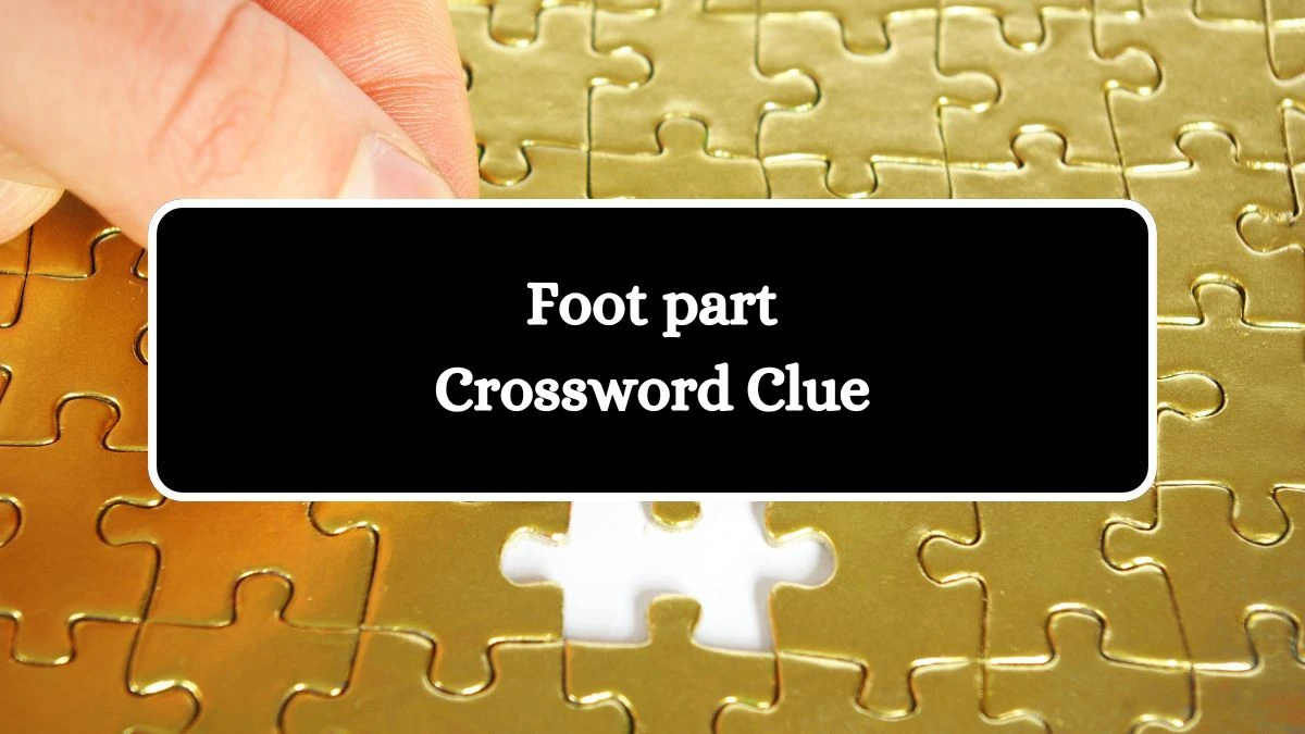 Foot part Crossword Clue Answers on August 05, 2024