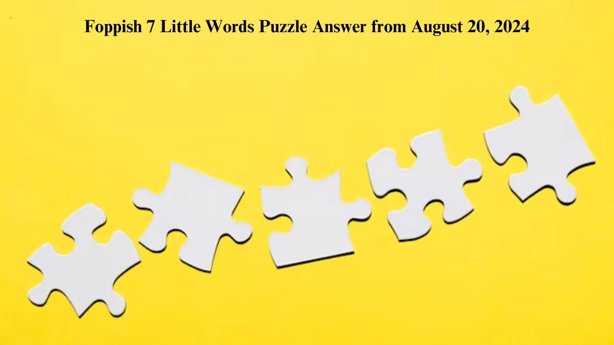 Foppish 7 Little Words Puzzle Answer from August 20, 2024