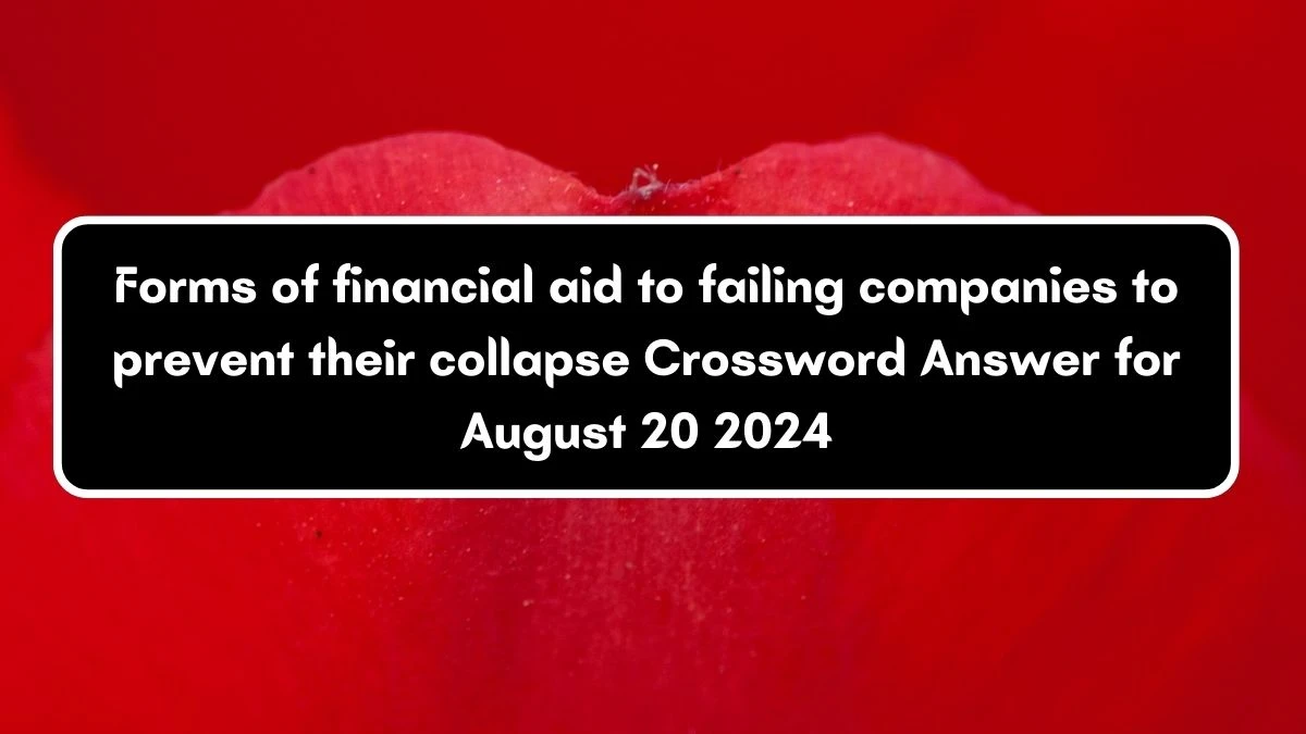 Forms of financial aid to failing companies to prevent their collapse Crossword Clue Answers on August 20, 2024