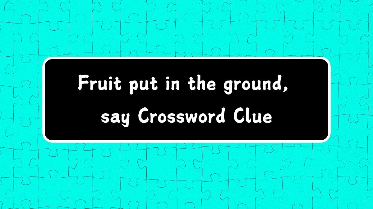 Fruit put in the ground, say (5) Crossword Clue Puzzle Answer from August 03, 2024