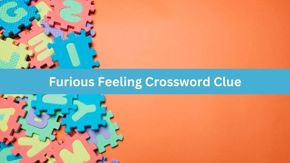 Furious Feeling Daily Themed Crossword Clue Puzzle Answer from August 22, 2024