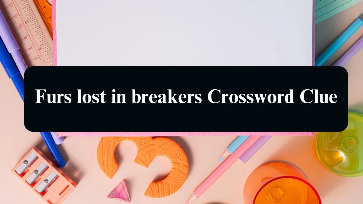 Furs lost in breakers Crossword Clue Answers on August 19, 2024