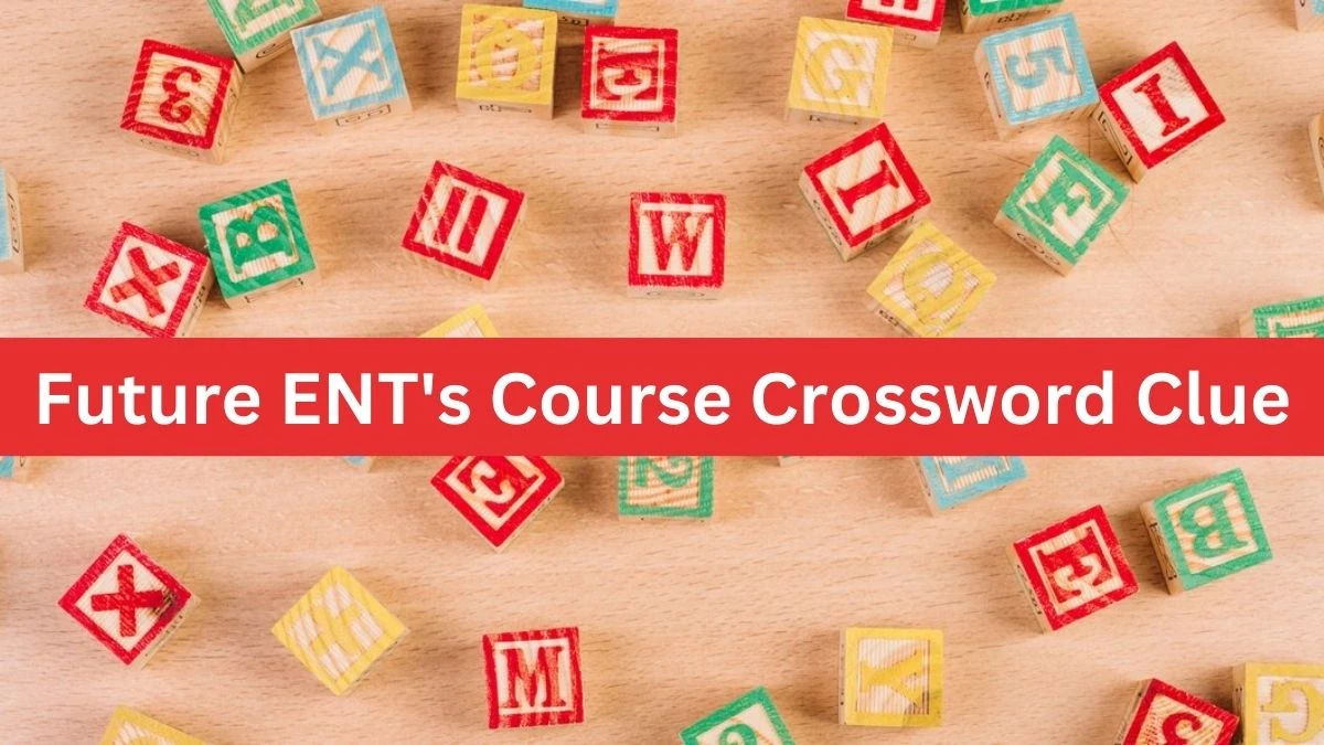 Future ENT's Course Crossword Clue Answers on August 01, 2024