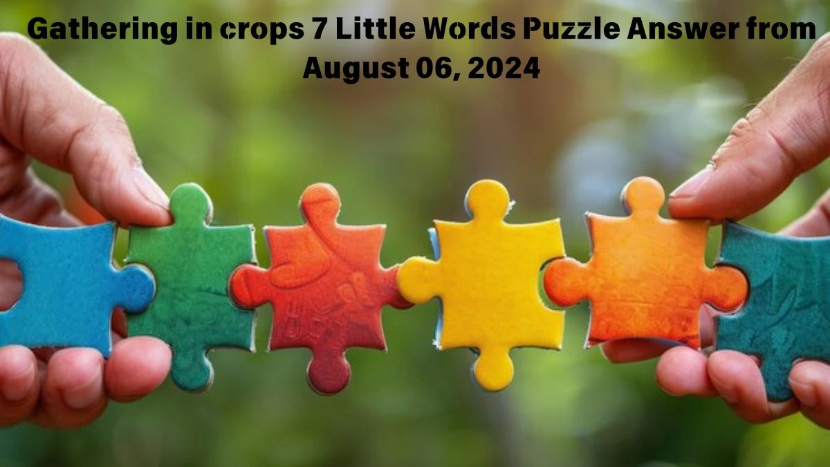 Gathering in crops 7 Little Words Puzzle Answer from August 06, 2024