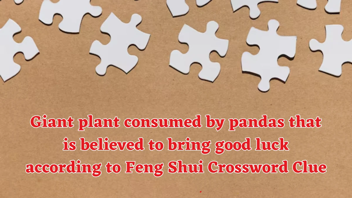 Giant plant consumed by pandas that is believed to bring good luck according to Feng Shui Daily Themed Crossword Clue Puzzle Answer from August 18, 2024