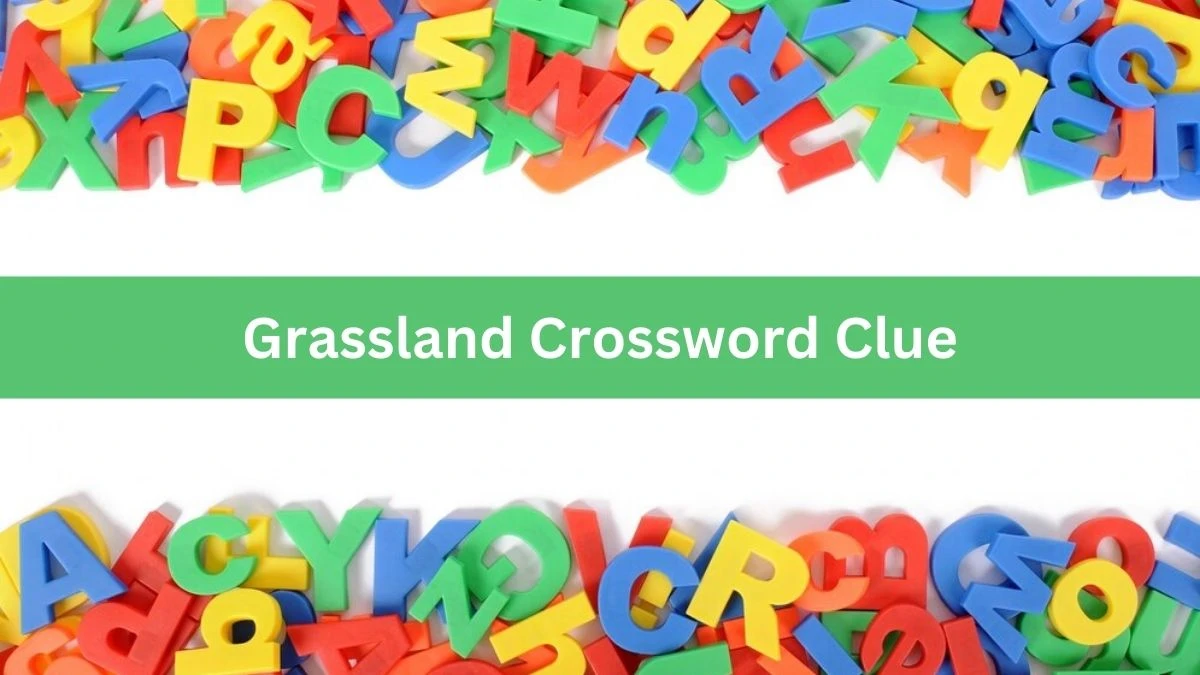 USA Today Grassland Crossword Clue Puzzle Answer from August 06, 2024