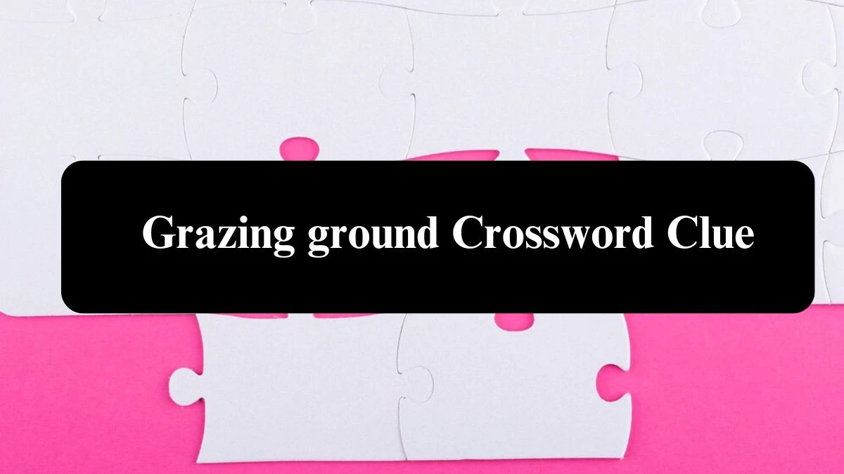 Daily Themed Grazing ground Crossword Clue Puzzle Answer from August 03, 2024