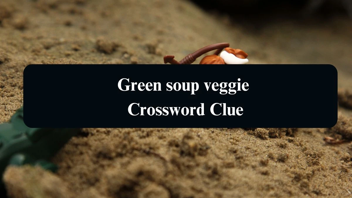 Green soup veggie Daily Themed Crossword Clue Puzzle Answer from August 21, 2024