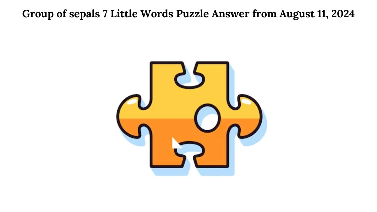 Group of sepals 7 Little Words Puzzle Answer from August 11, 2024